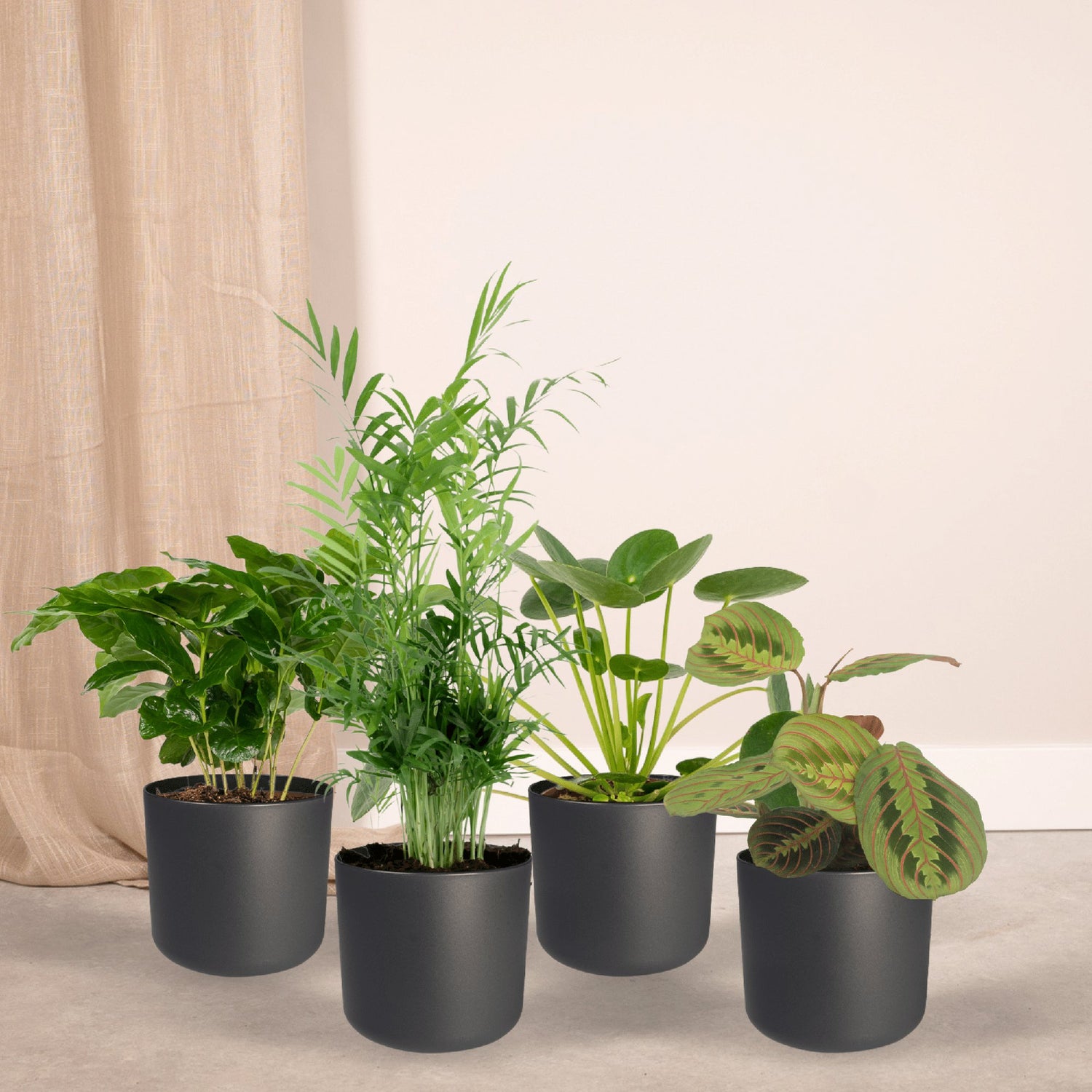Pflanzensets
