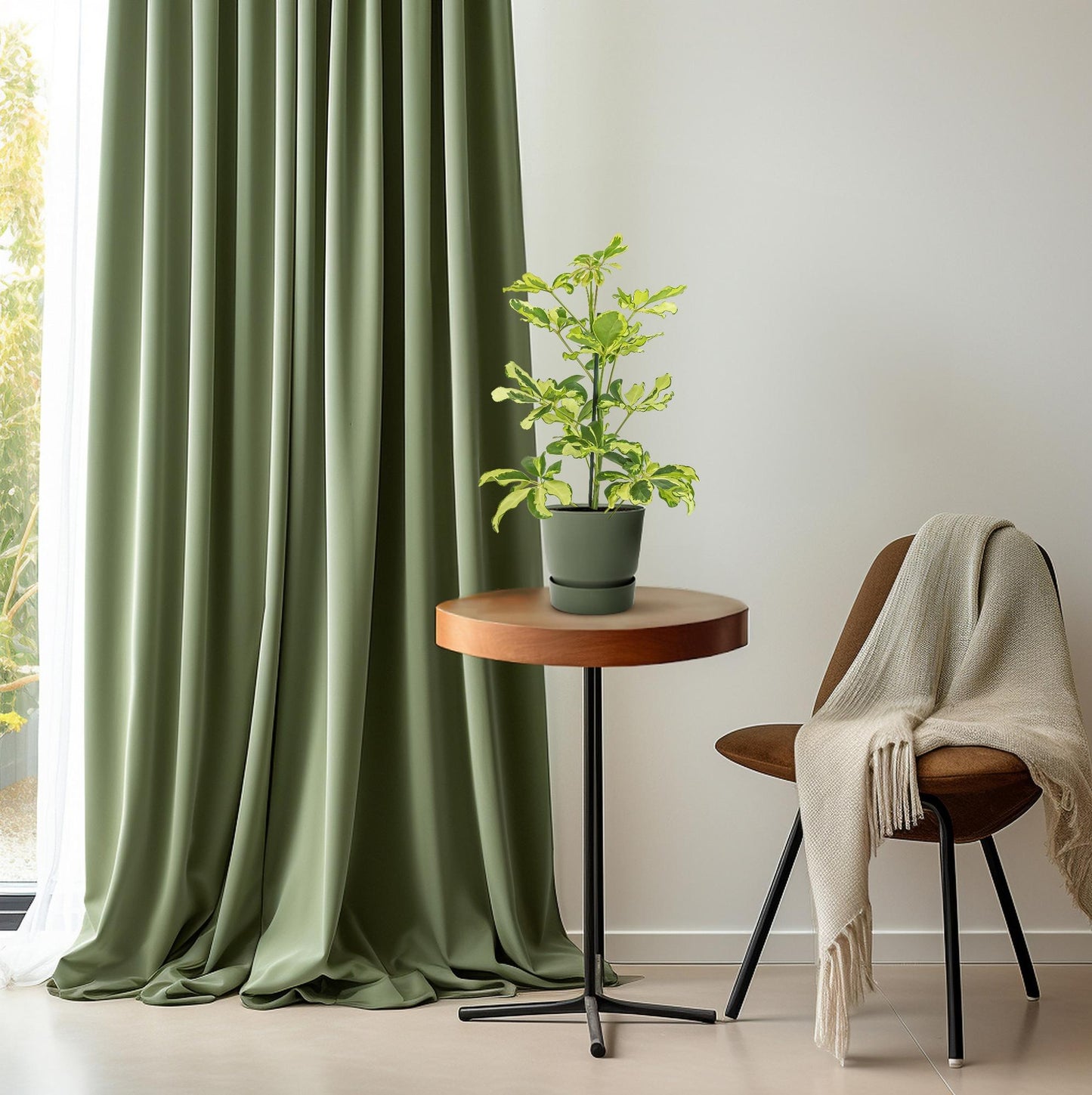 Schefflera Charlotte - Ø13cm - ↕45cm - Plantabulous
