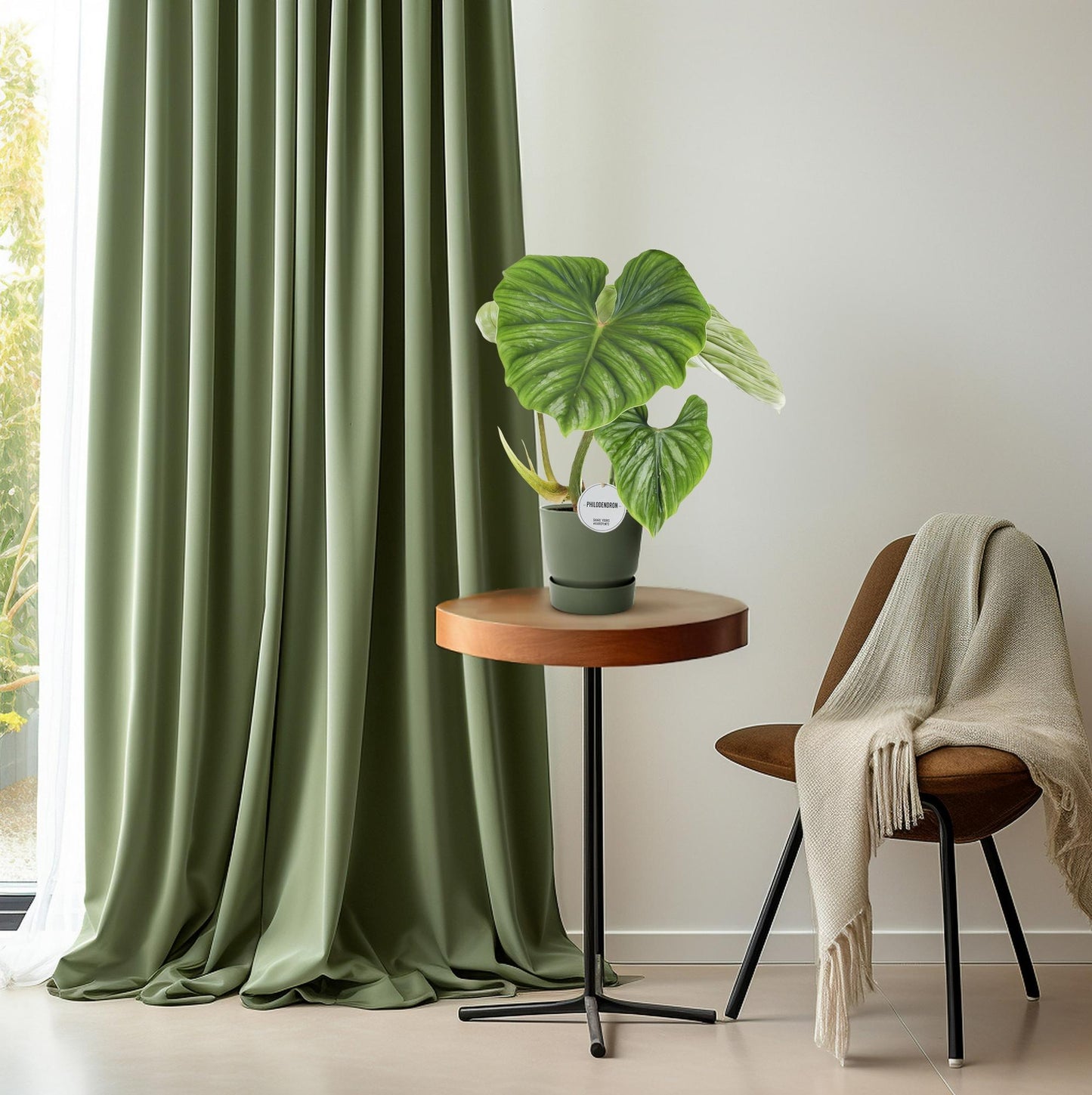 Philodendron Plowmanii - Ø15cm - ↕50cm - Plantabulous
