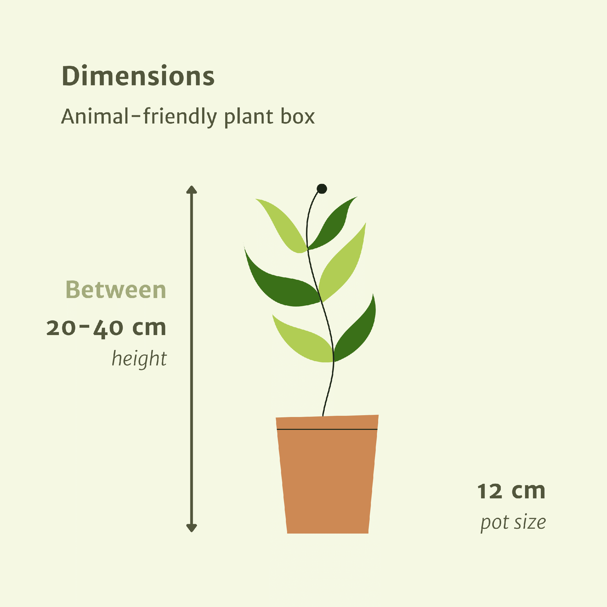 Tierfreundliche Pflanzenbox – 4 Pflanzen – 20–40 cm – Ø12 cm - Plantabulous