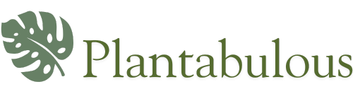 Plantabulous