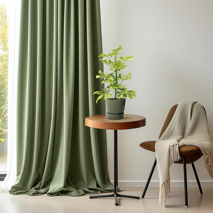 Schefflera Charlotte - Ø13cm - ↕45cm - Plantabulous